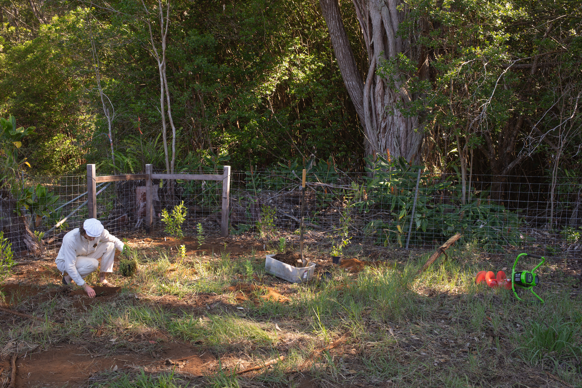 Field work at the farm